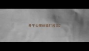 开平去哪给猫打疫苗
