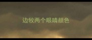 边牧两个眼睛颜色
