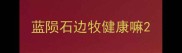 蓝陨石边牧健康嘛