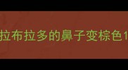 拉布拉多的鼻子变棕色