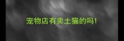 宠物店有卖土猫的吗