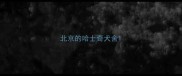 北京的哈士奇犬舍