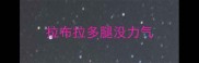 拉布拉多腿没力气