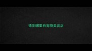 德阳哪里有宠物美容店