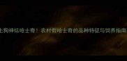 土狗神似哈士奇农村假哈士奇的品种特征与饲养指南