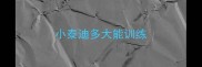 小泰迪多大能训练
