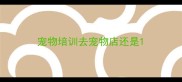 宠物培训去宠物店还是