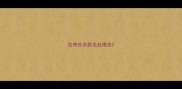 拉布拉多脱毛处理法