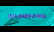 边牧前脚粗后腿细