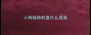 小狗接种的是什么疫苗