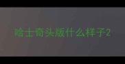 哈士奇头版什么样子