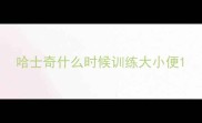 哈士奇什么时候训练大小便