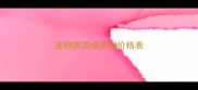 宠物店洗澡美容价格表
