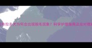 拉布拉多犬为何会出现脱毛现象科学护理指南及应对措施
