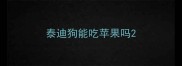 泰迪狗能吃苹果吗
