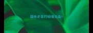 猫咪老是打喷嚏流血