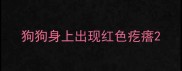 狗狗身上出现红色疙瘩