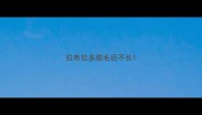 拉布拉多脱毛后不长