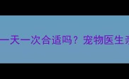 拉布拉多洗澡频率一天一次合适吗宠物医生亲授正确洗澡指南