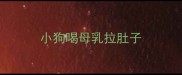 小狗喝母乳拉肚子