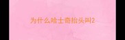 为什么哈士奇抬头叫