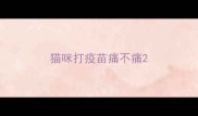 猫咪打疫苗痛不痛