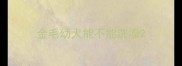 金毛幼犬能不能洗澡