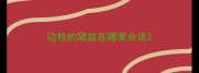 边牧的窝放在哪里合适