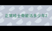 正常哈士奇能活多少年