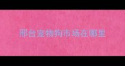 邢台宠物狗市场在哪里