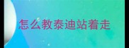 怎么教泰迪站着走