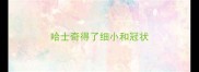 哈士奇得了细小和冠状