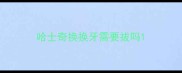 哈士奇换换牙需要拔吗