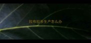 拉布拉多生产怎么办