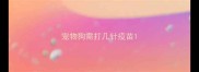 宠物狗需打几针疫苗