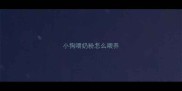 小狗喂奶粉怎么喂养
