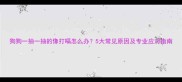 狗狗一抽一抽的像打嗝怎么办5大常见原因及专业应对指南