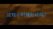 边牧小时候好动吗