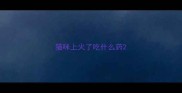 猫咪上火了吃什么药