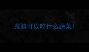 泰迪可以吃什么蔬菜