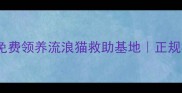 长沙宠物猫领养中心免费领养流浪猫救助基地正规机构保障健康疫苗齐全