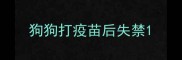 狗狗打疫苗后失禁