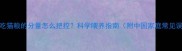 猫咪吃猫粮的分量怎么把控科学喂养指南附中国家庭常见误区