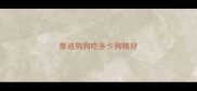 泰迪狗狗吃多少狗粮好