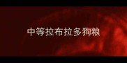 中等拉布拉多狗粮