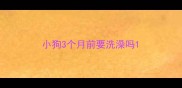 小狗3个月前要洗澡吗