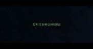 拉布拉多种公挣钱吗