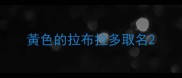 黃色的拉布拉多取名