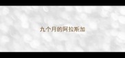 九个月的阿拉斯加