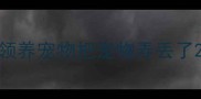 领养宠物把宠物弄丢了